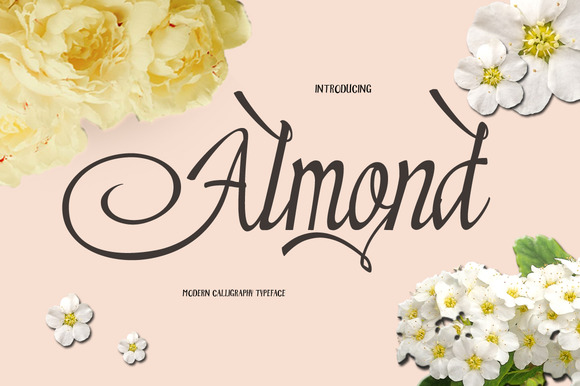 Almond: A Script Font for Authentic and Expressive Design