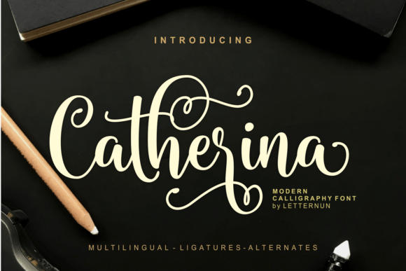 Catherina: Crafting Elegant Visual Stories